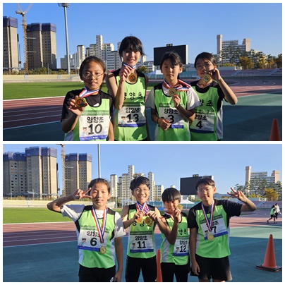 (10.24) 2024 양양군 육상경기대회 사진